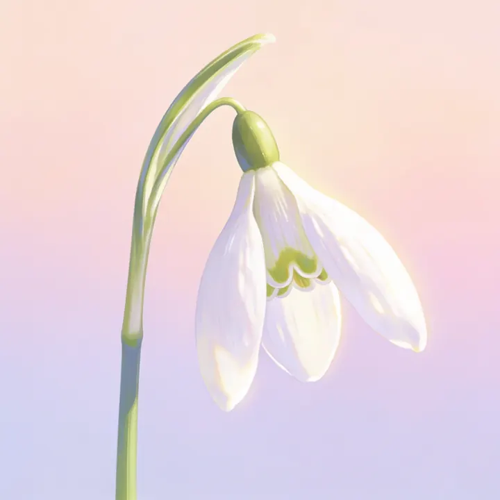스노드롭 그림