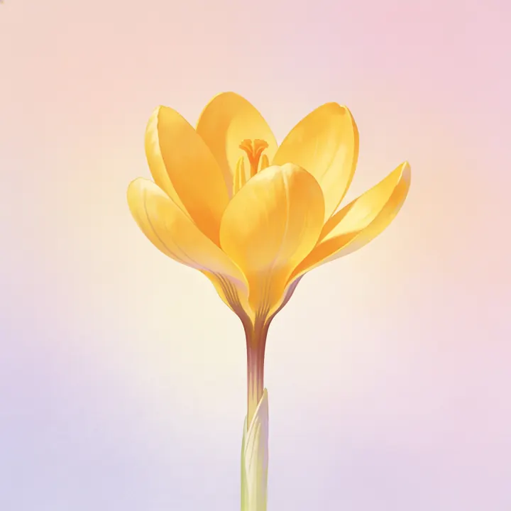 노란 크로커스 그림