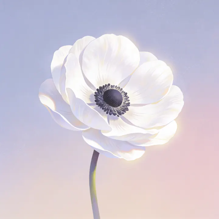 흰 아네모네 그림