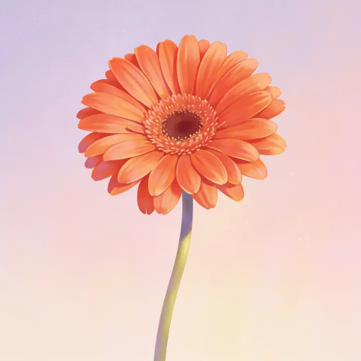 주황 거베라 그림