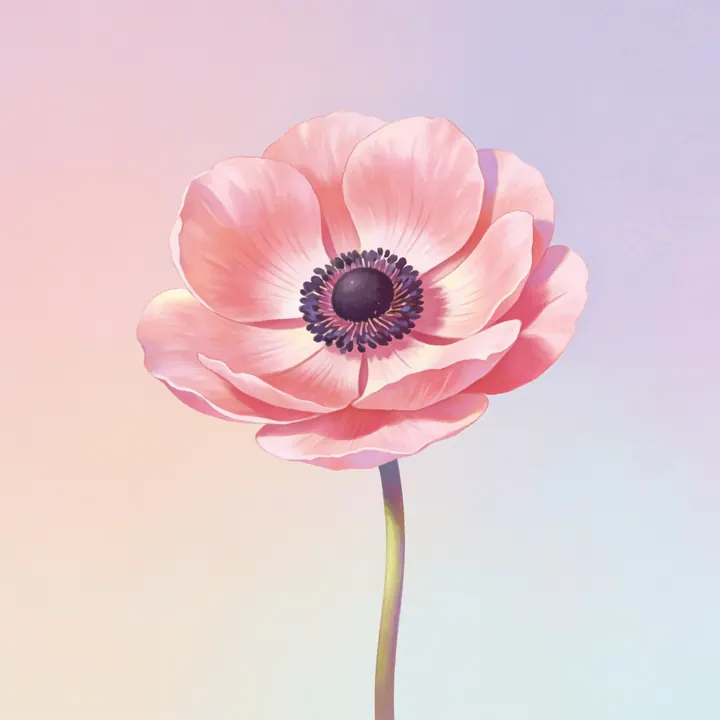 분홍 아네모네 그림
