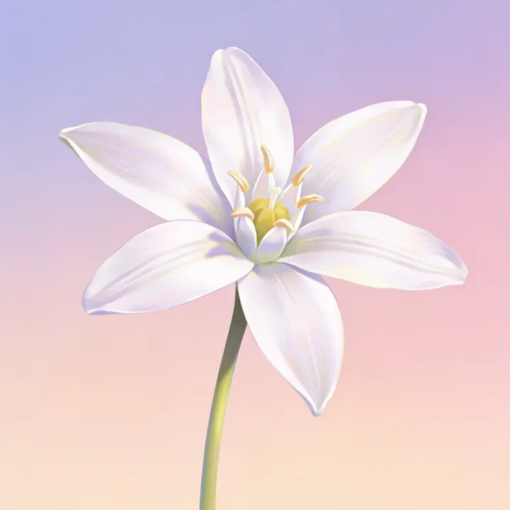 베들레헴의 별 그림
